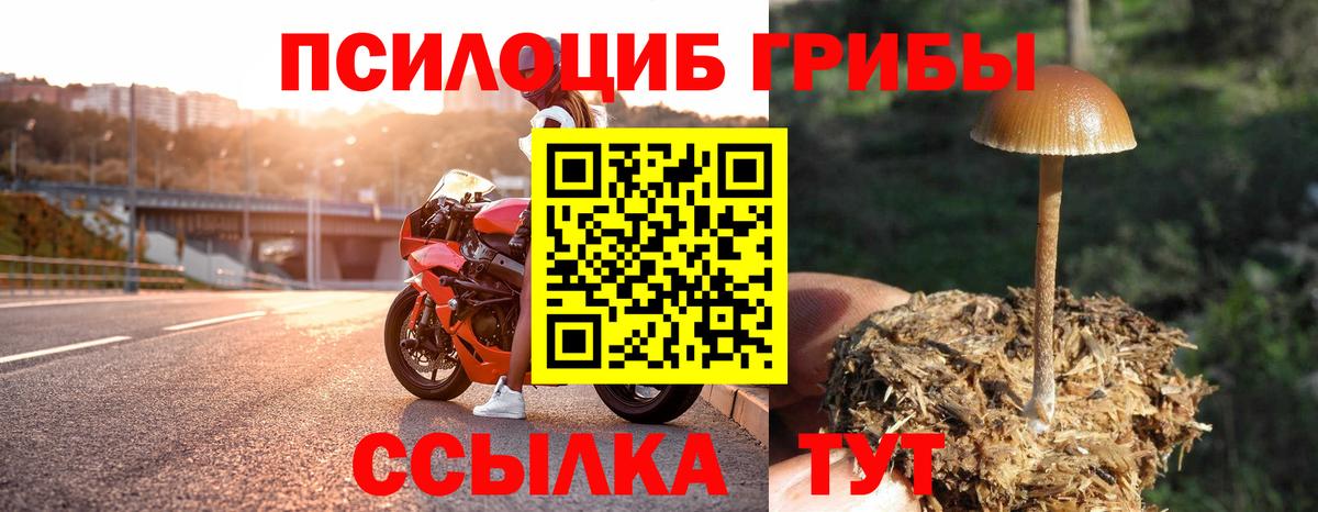 Ликино-Дулёво  Псилоцибиновые грибы прущие грибы  где найти   Вход с VPN 